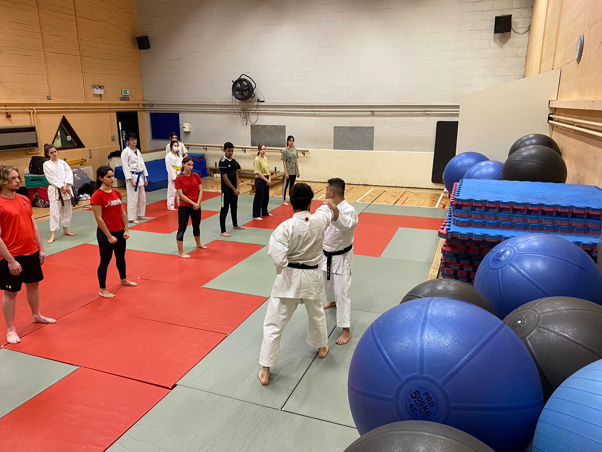 UCL Karate training photo