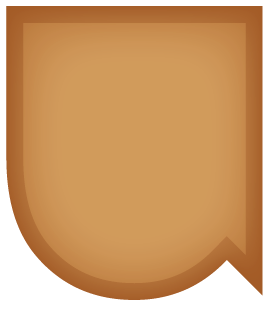 Club development badge - Bronze - shield with TeamUCL logo