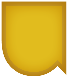 Club development badge - Gold - shield with TeamUCL logo