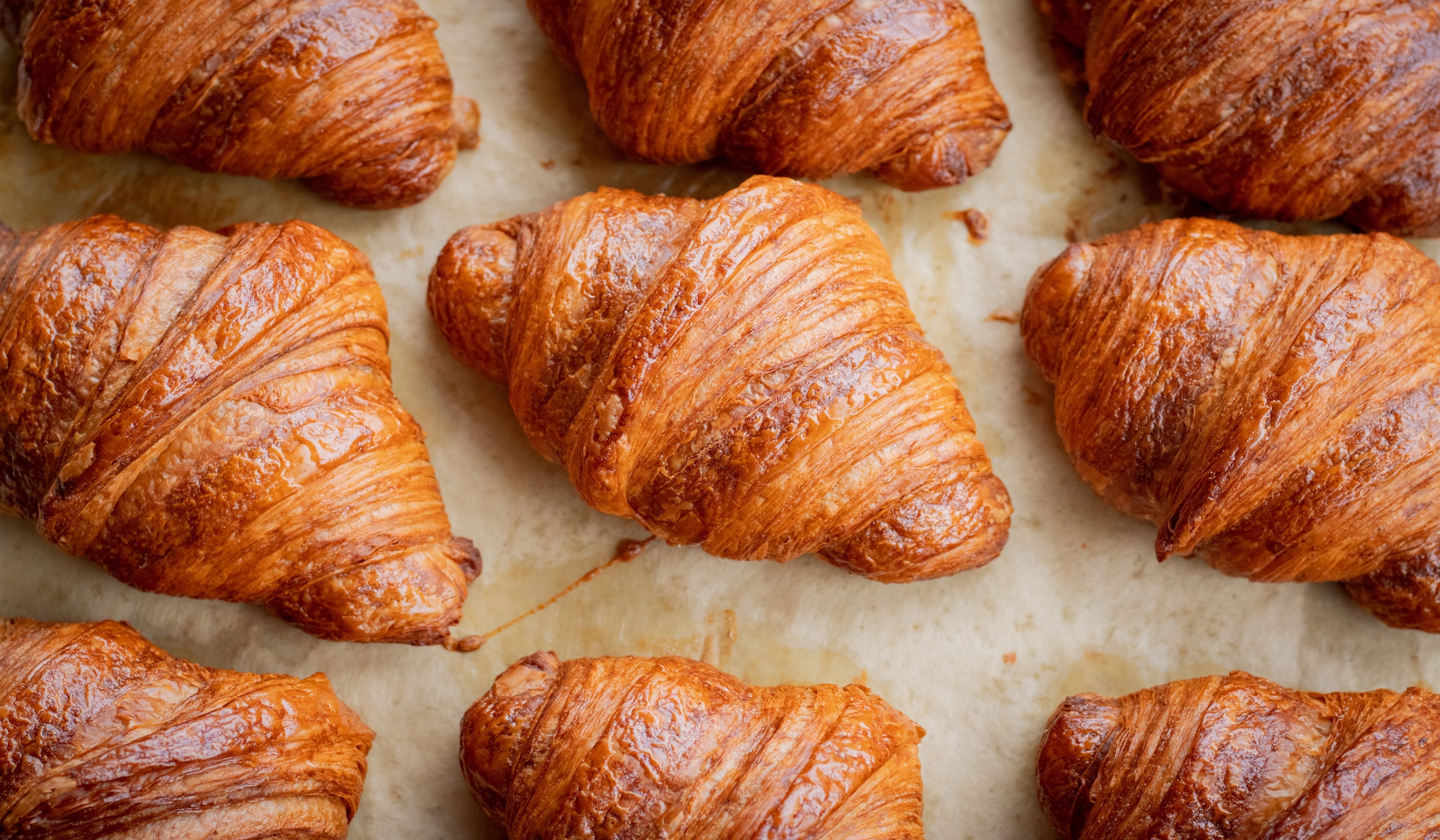 big-breakfast-students-union-ucl