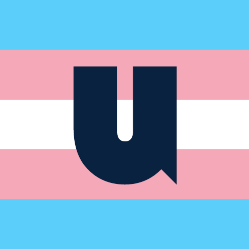 Union logo superimposed over trans flag