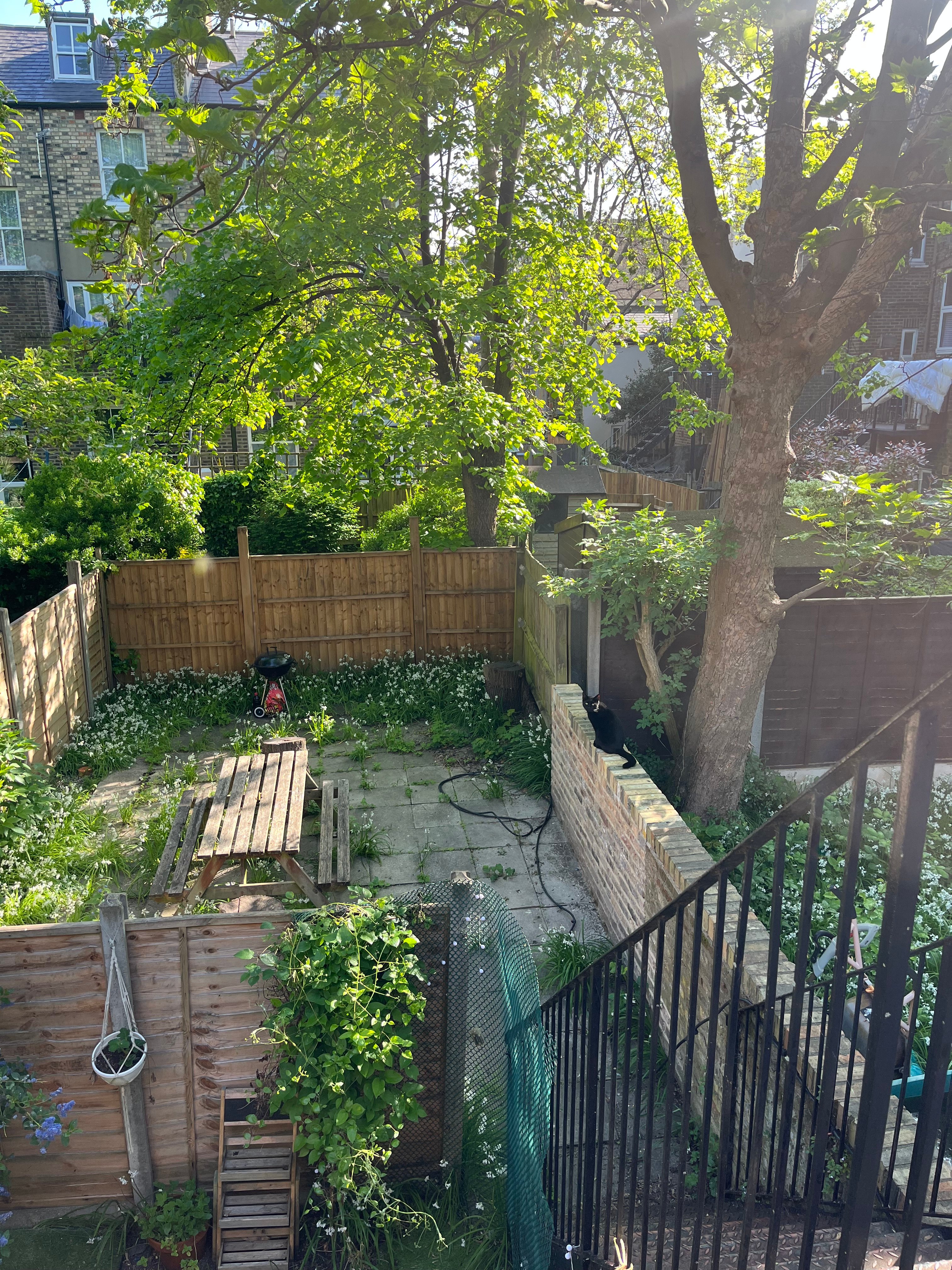 Garden area