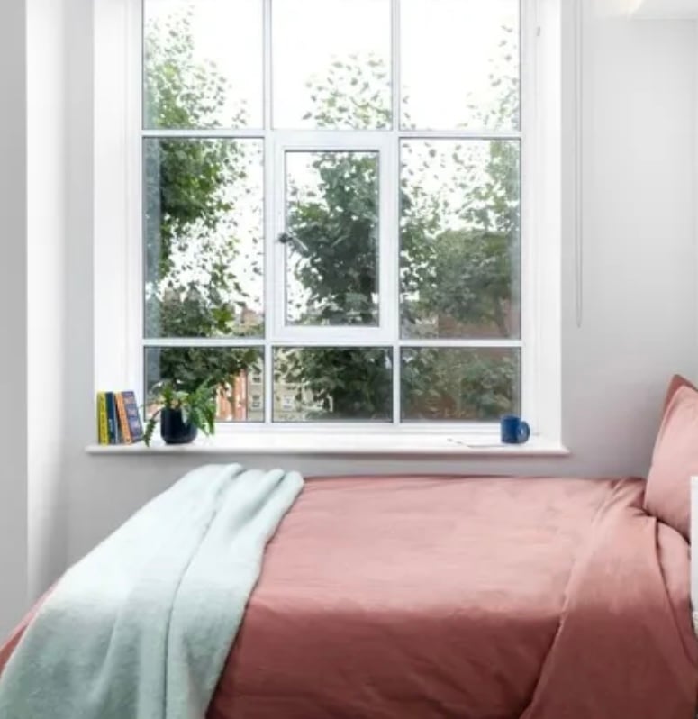 Window