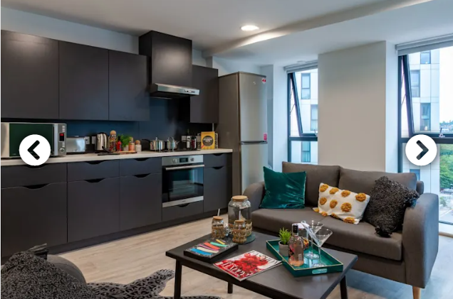 Picture of kitchen and living space