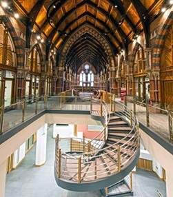 Spiral staircase within a study space leading up to a second level of meeting rooms