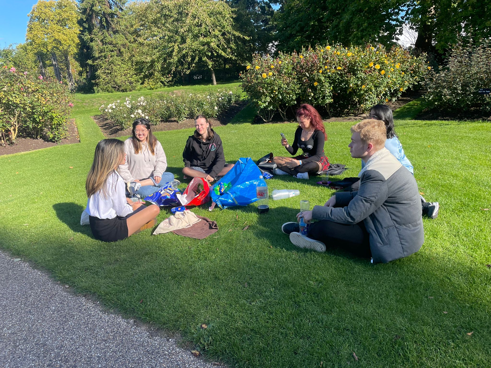 Image taken from EISPS Society's picnic depicting six university-aged individuals sitting on the grass with some drinks and snacks. It is a sunny day with blue skies at Regent's Park.